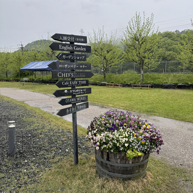 Hidden Gem during Golden Week! Shaun the Sheep Farm & English Garden