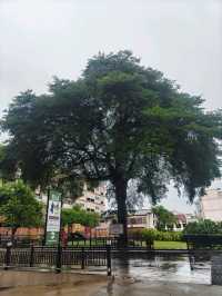 ที่พักบรรยากาศดีศรีราชา เหมาะกับการพักผ่อน 