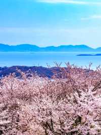 Hiroshima: A City That Rose from Ashes with Grace