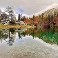 Blausee: Switzerland’s Hidden Blue Jewel in an Emerald Forest