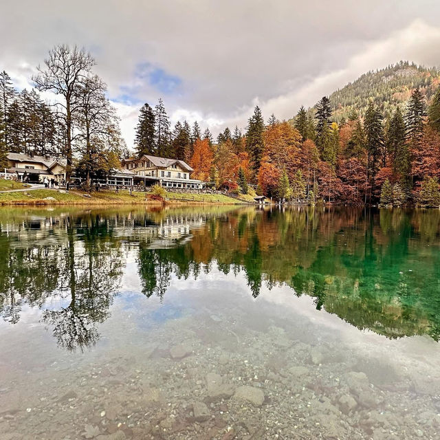 Blausee: Switzerland’s Hidden Blue Jewel in an Emerald Forest