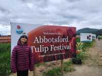Our Abbotsford Tulip Escape: A Burst of Color