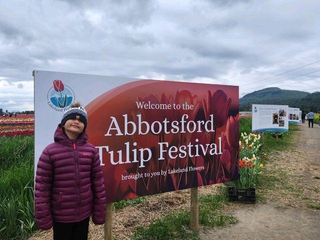 Our Abbotsford Tulip Escape: A Burst of Color