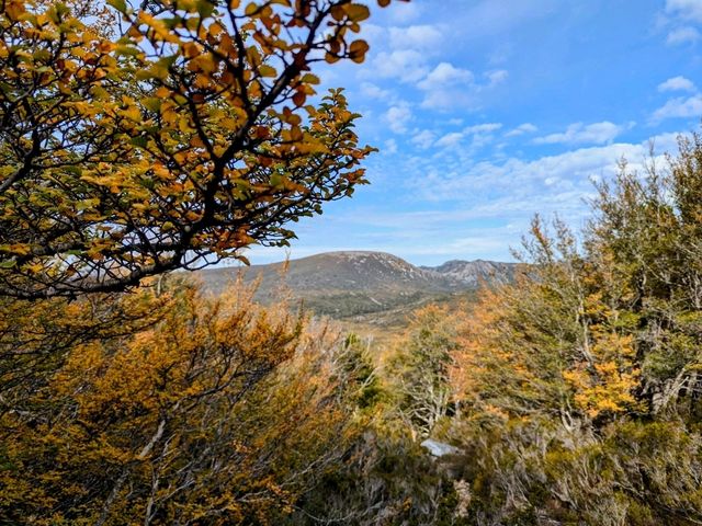 West Coast Tasmania Short Break