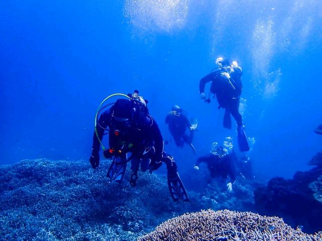 Ishigaki – Island Spirit and Ocean Adventures in Okinawa’s Far South