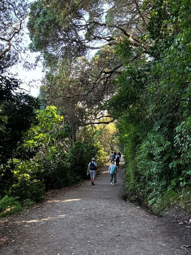 Tauranga – Where Coastal Charm Meets Adventure