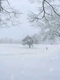 Title: Olympic Park: Seoul’s Legacy of Sport, Culture, and Nature