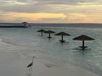 Centara Ras Fushi Resort & Spa