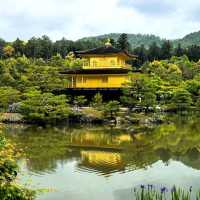 Gleaming Beauty: Experiencing Kinkaku-ji’s Golden Charm