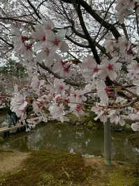 Kanazawa: Japan’s “Little Kyoto” of Art, History, and Serenity