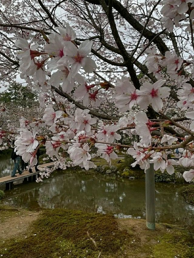 Kanazawa: Japan’s “Little Kyoto” of Art, History, and Serenity