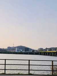 A Review of Jamwon Hangang Park