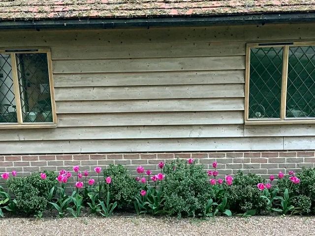 Pashley Manor Gardens – A Timeless English Country Garden