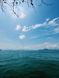 端午節東岸公園｜海濱粽韻與節日歡歌