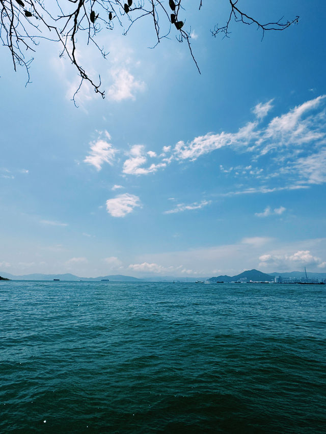 端午節東岸公園｜海濱粽韻與節日歡歌