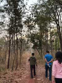 เที่ยวเดินป่าที่ อุทยานแห่งชาติแก่งตะนะ