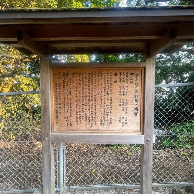 【福岡】秋もいいけど新緑もよかった！紅葉八幡宮　