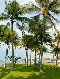 Pasir Ris Park – A Relaxing Coastal Escape in Singapore