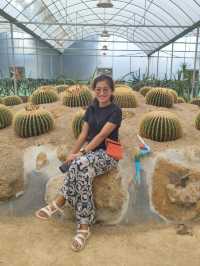 YG Cactus Farm Paksong