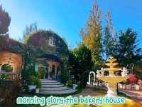 morning glory the bakery house จิบชาชิววิวล้านแปด