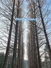 Nami Island: A Serene Escape