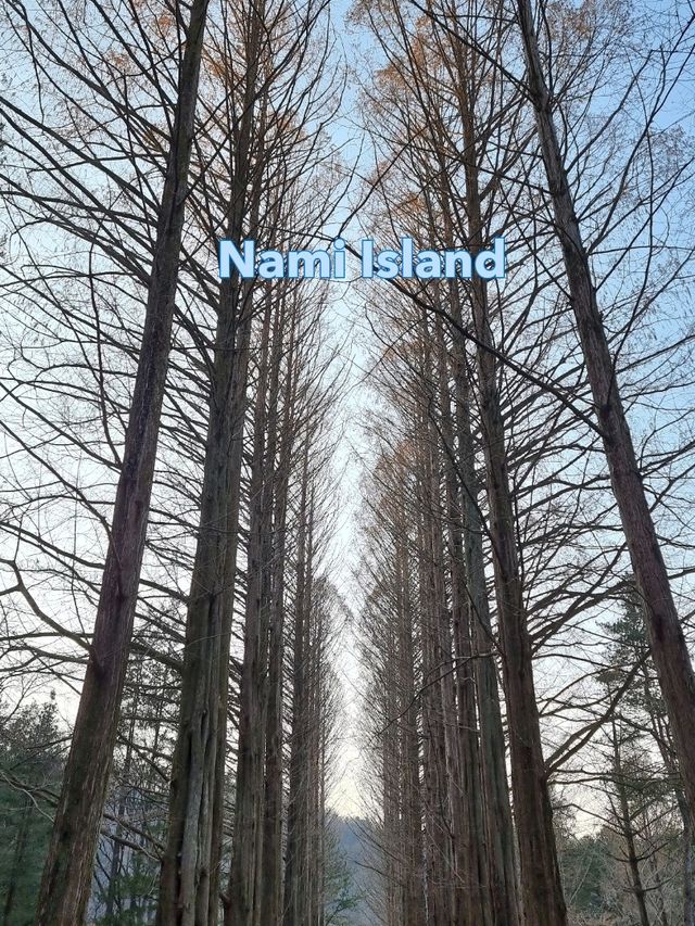 Nami Island: A Serene Escape