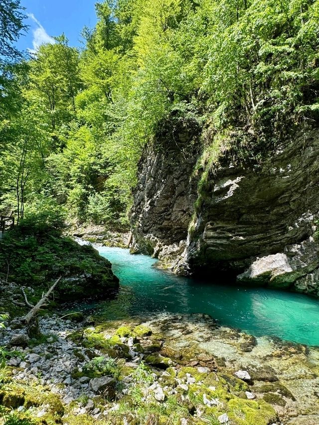 Vintgar Gorge: Slovenia’s Hidden Slice of Wilderness