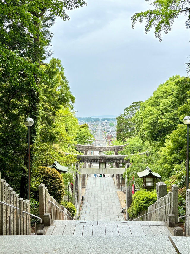 【福岡県】高台から参道と海が望める宮地嶽神社！