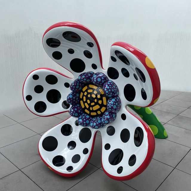 ドットは向日葵のアートが圧巻🫣🌻草間彌生の世界観が広がる美術館🫶