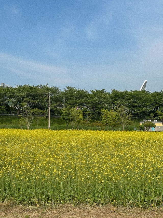 부산 근교, 산책하기 좋은 대규모 강변공원 추천