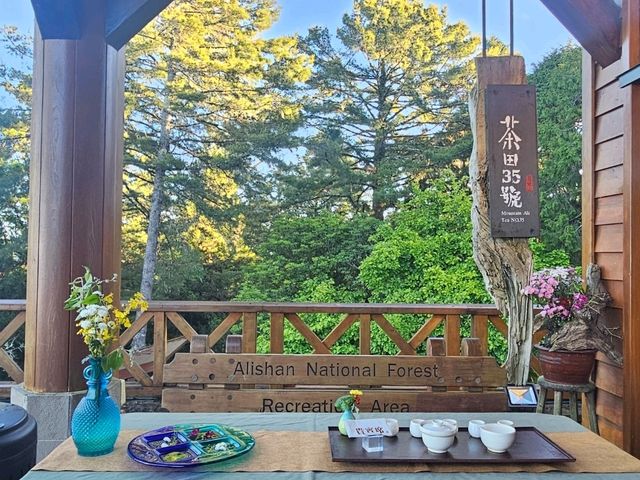 行！走入超完美芬多精仙境～阿里山森林公園