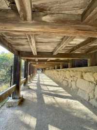 Sky-High Stroll in Miyajima