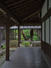 【行く前にこれ見て】名勝庭園を彩る翠の絨毯！心静かに新緑の美を味わう🌿✨※周辺観光情報付