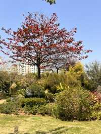 適合親子郊遊的深圳香蜜公園