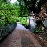 Your Chill Escape from the City Hustle