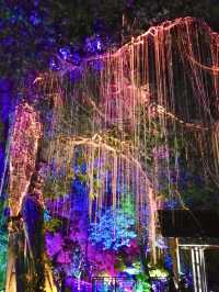 Where Twilight Transforms Trees: Penang’s Avatar Secret Garden 