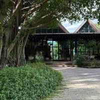 The Village Farm To Cafe'