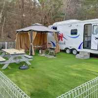 🏕️ 경기 가평 올덴카라반캠핑장, 자연 속 힐링 캠핑! 