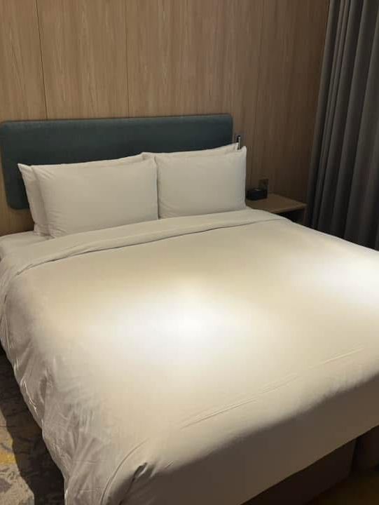 首爾江南希爾頓花園酒店