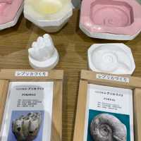 北海道でも珍しい‼️レア体験ができる博物館