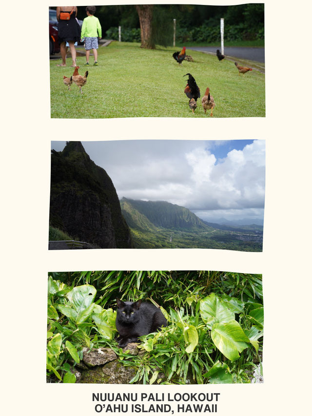 🇺🇸歐胡島鑽石頭、科科火山口與努阿努帕利瞭望台：自然景觀的多元體驗🌋  