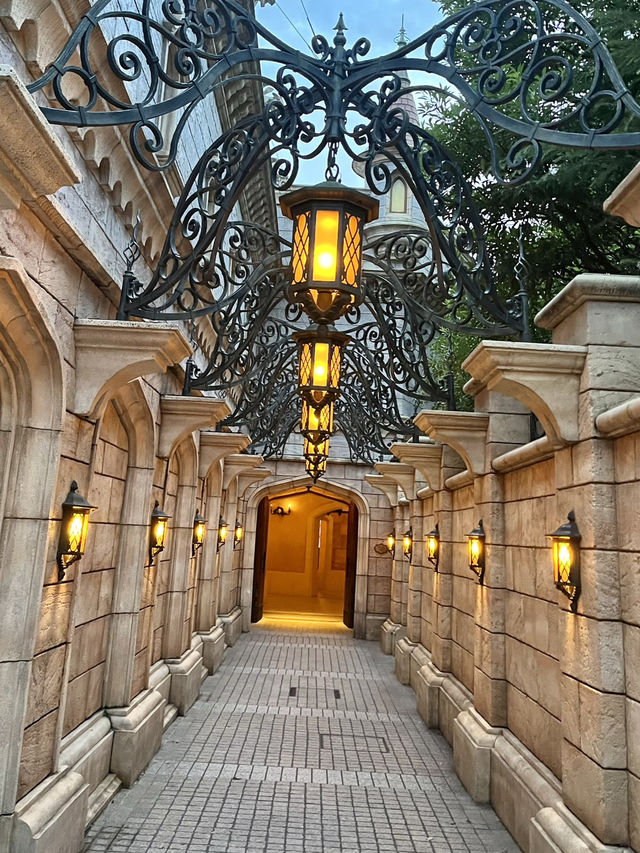 🏰🌹**【美女と野獣 “魔法のものがたり”｜東京ディズニーランド】