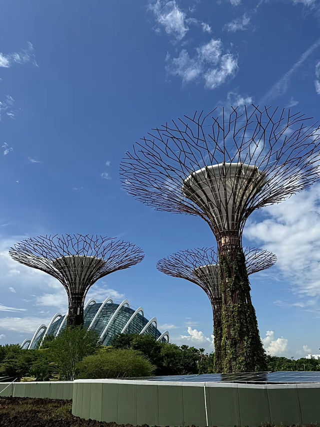 สิงคโปร์🇸🇬