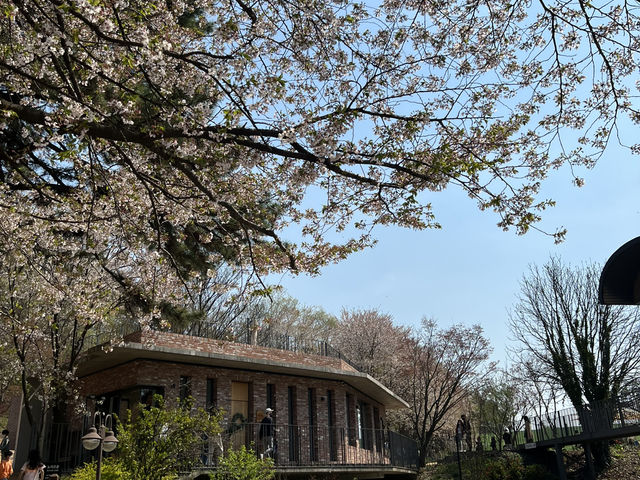 충남 당진 아그로랜드 태신목장 당일치기 여행 코스💚🌞