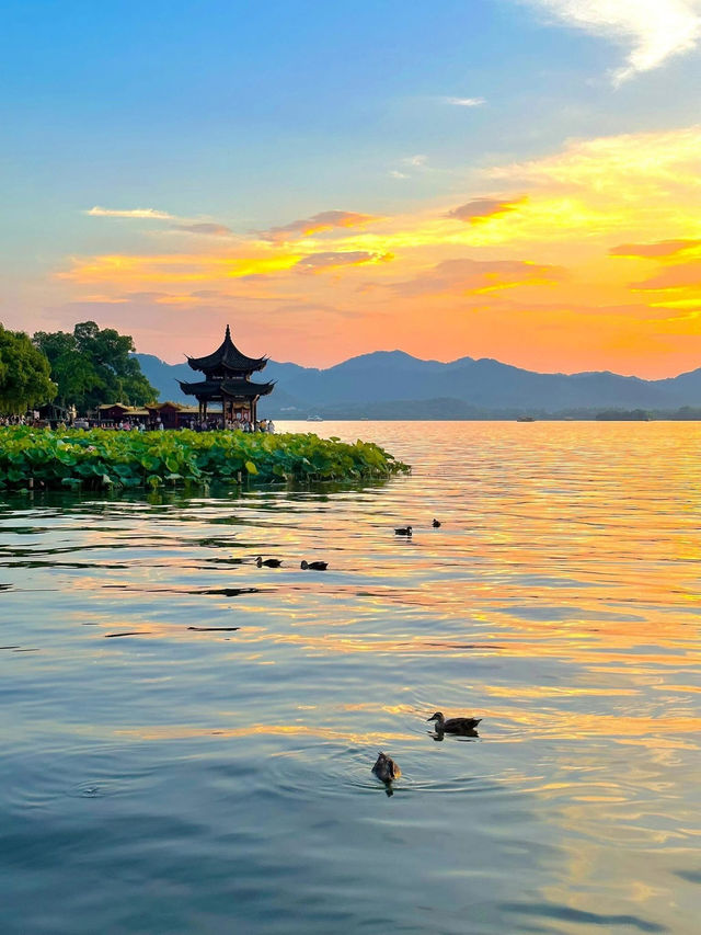 杭州🇨🇳 再有時間一定會再深度遊這個城市
