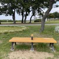 Flower Hill - Uminokamichi Seaside Park 
