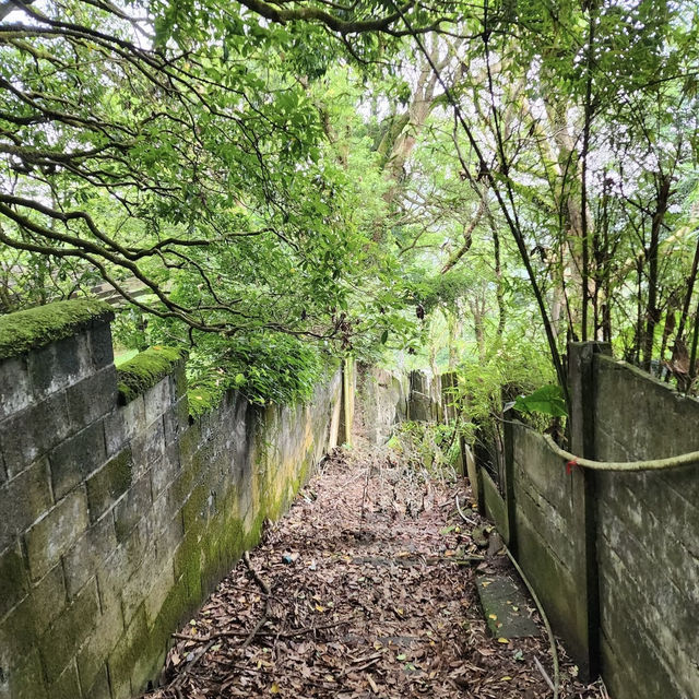 陽明山山豬湖山走走