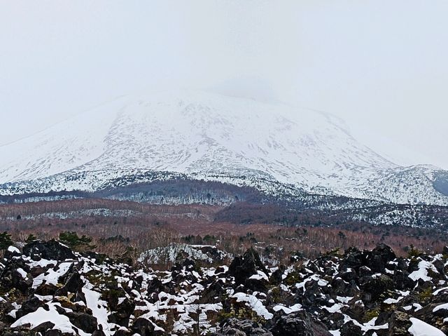 3月日本自由行 景点篇 鬼押出火山岩石公園