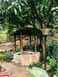 深圳周邊著名溫泉南昆山雲頂溫泉攻略