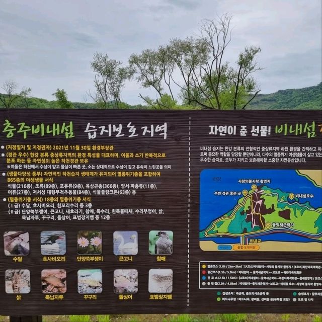 Chungju Forest & Hot Spring Feels